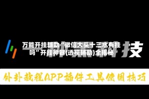 万能开挂辅助“微信大头十三水有挂吗”开挂神器{透视辅助}全揭秘