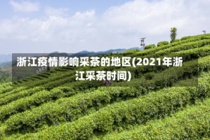浙江疫情影响采茶的地区(2021年浙江采茶时间)