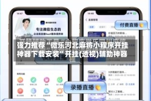 强力推荐“微乐河北麻将小程序开挂神器下载安装”开挂(透视)辅助神器