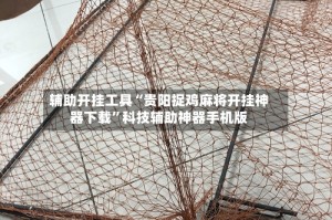 辅助开挂工具“贵阳捉鸡麻将开挂神器下载”科技辅助神器手机版