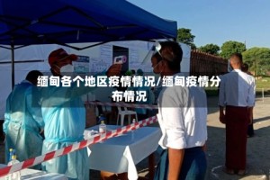 缅甸各个地区疫情情况/缅甸疫情分布情况