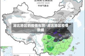湖北地区的疫情形势/湖北地区疫情数据