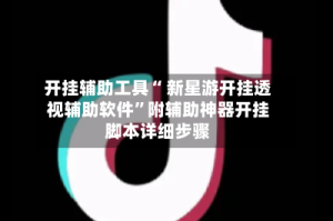 开挂辅助工具“ 新星游开挂透视辅助软件”附辅助神器开挂脚本详细步骤