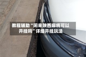 教程辅助“闲来陕西麻将可以开挂吗”详细开挂玩法