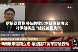 伊朗议员称潜在的霍尔木兹海峡协议对伊朗将是“纯粹的损失”