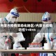 内蒙古疫情常态化地区/内蒙古疫情防控1+8+n