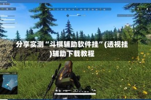 分享实测“斗棋辅助软件挂”(透视挂)辅助下载教程