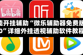 万能开挂辅助“微乐辅助器免费版v3.0”详细外挂透视辅助软件教程