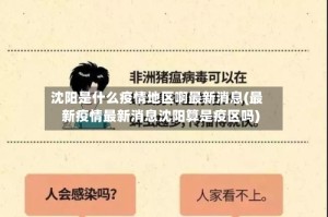 沈阳是什么疫情地区啊最新消息(最新疫情最新消息沈阳算是疫区吗)