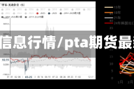 pta期货信息行情/pta期货最新行情