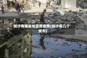 加沙有哪些地区有疫情(加沙有几个城市)