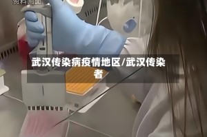 武汉传染病疫情地区/武汉传染者