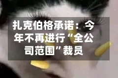 扎克伯格承诺：今年不再进行“全公司范围”裁员