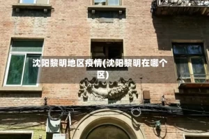 沈阳黎明地区疫情(沈阳黎明在哪个区)