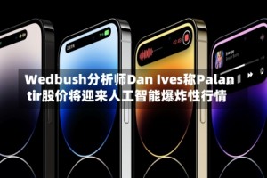 Wedbush分析师Dan Ives称Palantir股价将迎来人工智能爆炸性行情