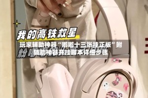 玩家辅助神器“嘟嘟十三张挂正版”附辅助神器开挂脚本详细步骤