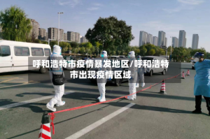 呼和浩特市疫情暴发地区/呼和浩特市出现疫情区域
