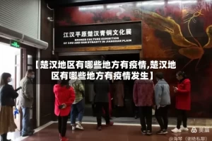 【楚汉地区有哪些地方有疫情,楚汉地区有哪些地方有疫情发生】