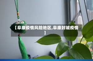 【阜康疫情风险地区,阜康封城疫情】