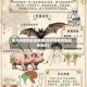 国外热带地区的疫情(热带国家有新冠病毒吗)