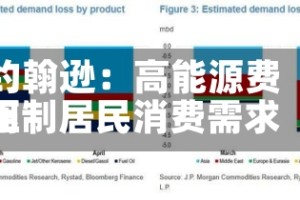 约翰逊：高能源费用压制居民消费需求