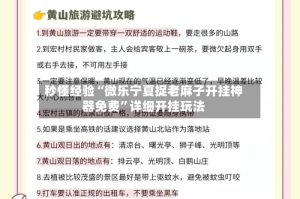秒懂经验“微乐宁夏捉老麻子开挂神器免费”详细开挂玩法