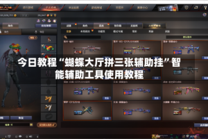 今日教程“蝴蝶大厅拼三张辅助挂”智能辅助工具使用教程