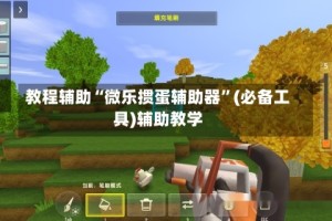 教程辅助“微乐掼蛋辅助器”(必备工具)辅助教学