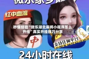 秒懂经验“微乐湖北麻将小程序怎么开挂”真实开挂技巧分享