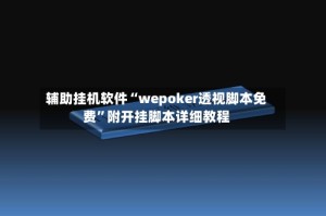 辅助挂机软件“wepoker透视脚本免费”附开挂脚本详细教程