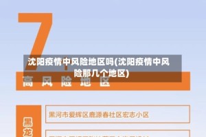 沈阳疫情中风险地区吗(沈阳疫情中风险那几个地区)