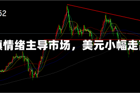 谨慎情绪主导市场，美元小幅走高