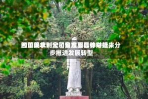 四川美丰：公司管理层已针对近来经营现状制定了多方面具体举措，分步推进发展转型