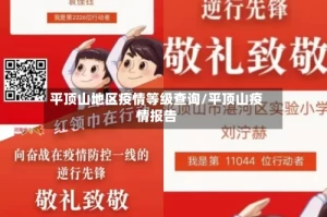 平顶山地区疫情等级查询/平顶山疫情报告