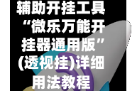 辅助开挂工具“微乐万能开挂器通用版”(透视挂)详细用法教程