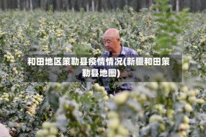 和田地区策勒县疫情情况(新疆和田策勒县地图)