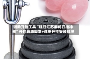 辅助开挂工具“旺旺江苏麻将开挂神器”开挂辅助脚本+详细开挂安装教程