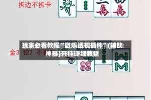 玩家必看教程“微乐透视插件”(辅助神器)开挂详细教程