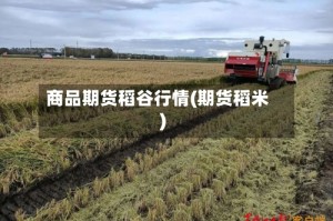 商品期货稻谷行情(期货稻米)