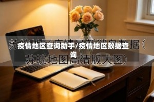 疫情地区查询助手/疫情地区数据查询