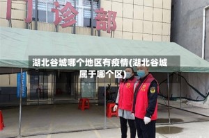 湖北谷城哪个地区有疫情(湖北谷城属于哪个区)