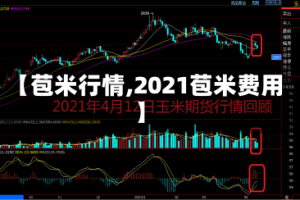 【苞米行情,2021苞米费用】