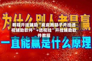 教程开挂辅助“皮皮跑胡子开挂透视辅助软件”+透视挂”开挂辅助软件教程
