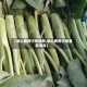 【菜心费用行情最新,菜心费用行情最新消息】