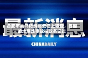 合肥市委书记费高云任上被查，曾因响水爆炸事故被政务记过