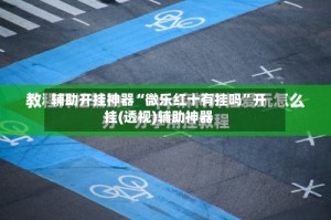 辅助开挂神器“微乐红十有挂吗”开挂(透视)辅助神器