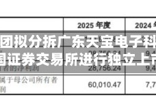 天宝集团拟分拆广东天宝电子科技于中国证券交易所进行独立上市