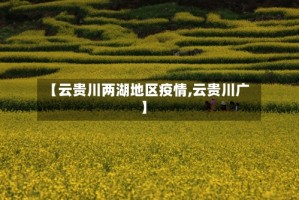 【云贵川两湖地区疫情,云贵川广】