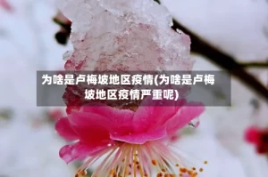 为啥是卢梅坡地区疫情(为啥是卢梅坡地区疫情严重呢)