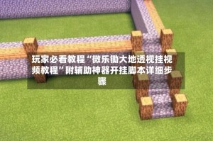 玩家必看教程“微乐锄大地透视挂视频教程”附辅助神器开挂脚本详细步骤